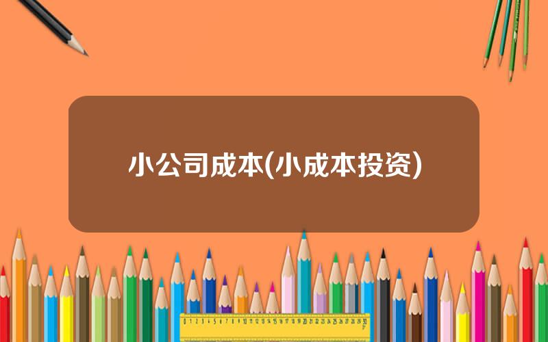 小公司成本(小成本投资)