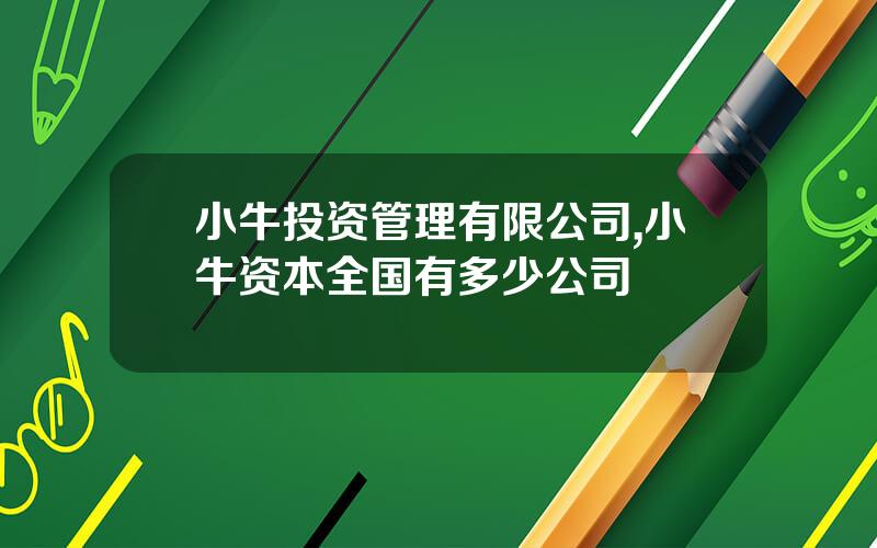 小牛投资管理有限公司,小牛资本全国有多少公司