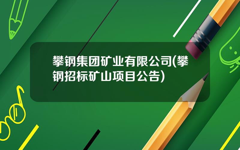 攀钢集团矿业有限公司(攀钢招标矿山项目公告)