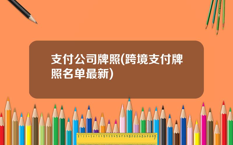 支付公司牌照(跨境支付牌照名单最新)