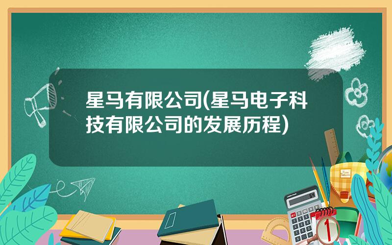 星马有限公司(星马电子科技有限公司的发展历程)