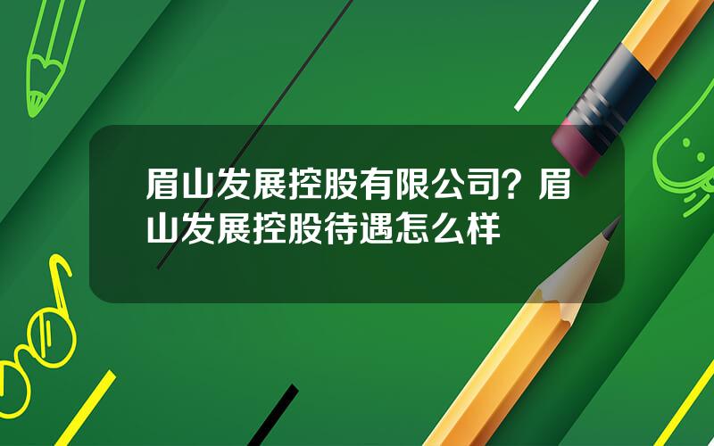 眉山发展控股有限公司？眉山发展控股待遇怎么样