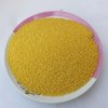 小米不能和什么一起吃？小米不能和什么同食？